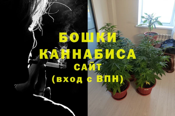 ешки Богородицк