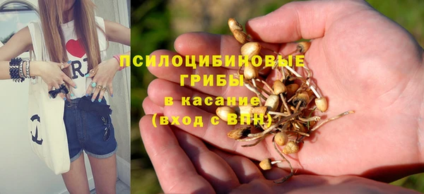 ешки Богородицк